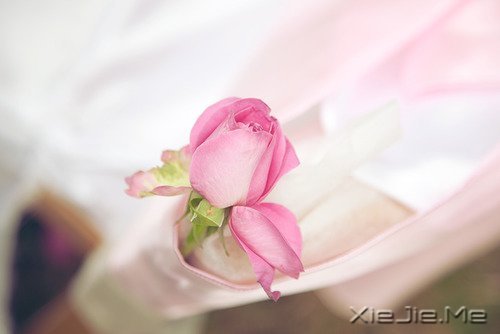 һ��һ�⣬������������������� (5)