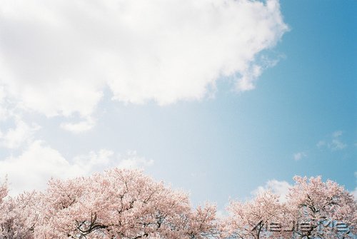 ����������������� (1)