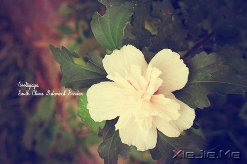 ������������ô��⣬���Լ�������һ��Ҫ���� (1)