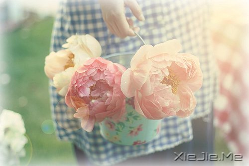 ��һ����������ʧȥ��60��Ŀ��� (5)