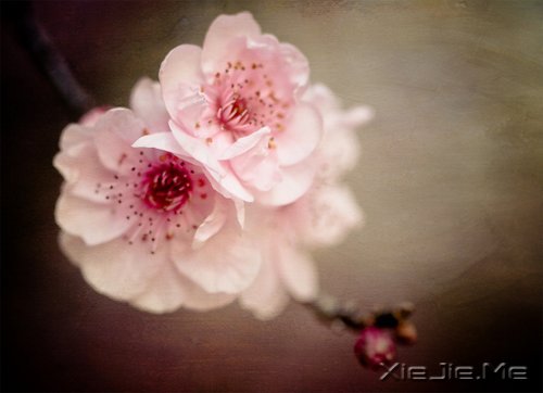 ��Ȼһ�У��������� (3)