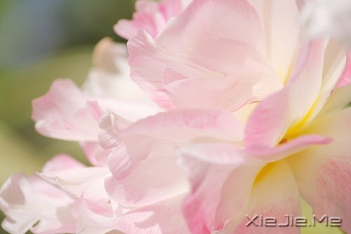 �������������Լ�һ��΢Ц (9)