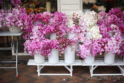 �ܶ�������Ƕ�����֪����ȴ������ (2)