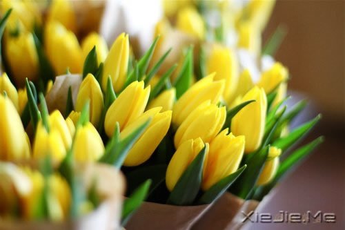 �����ǰ�������ǲʺ�ķ��� (2)