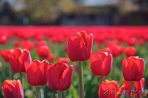 人,总是要醒来的,在某个时刻 (7)