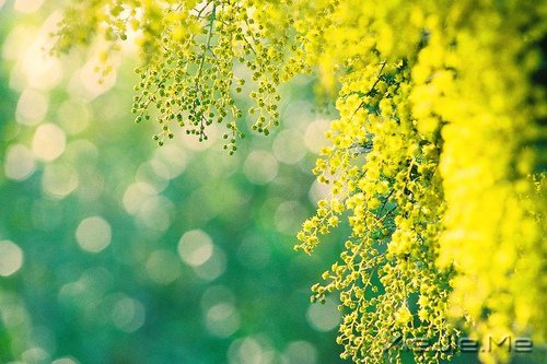 所谓幸福,就是一些不知不觉的小片断 (6)