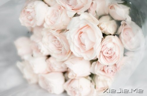 不要嘲笑别人的疤,那只是你没有经历过的伤 (2)