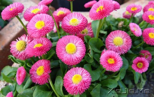 ����������ʹ�࣬˵��������л����� (4)