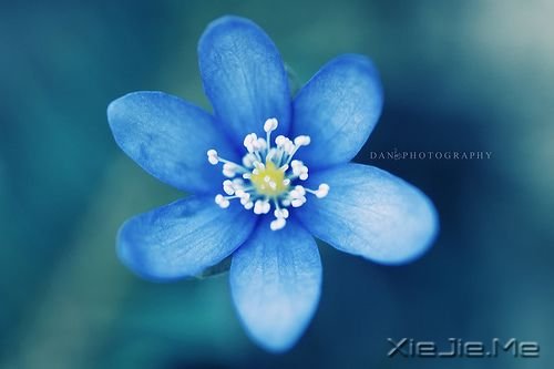 ǧ��Ҫ��Ϊ�ߵ�̫�ã�������������Ϊʲô���� (3)