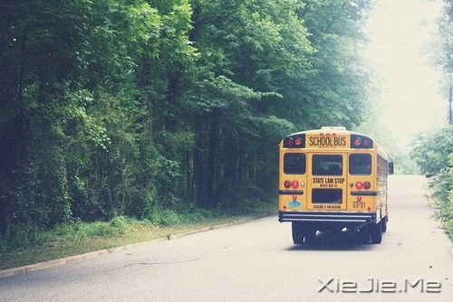 早安心语:生活的美好缘于拥有一颗平常心 (3)