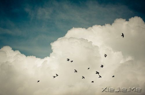 早安心语:只要你想,随时都可以开始 (8)