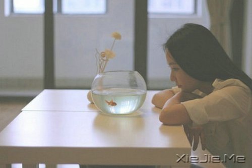 �������������ν�ĸ�������������һ·���� (3)