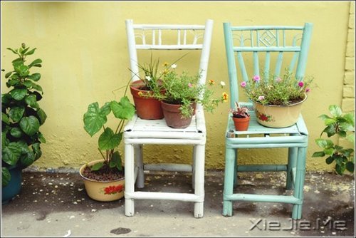 �簲������ƺ����飬����Żᴦ����� (10)