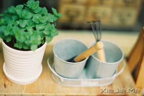 �簲������ƺ����飬����Żᴦ����� (11)