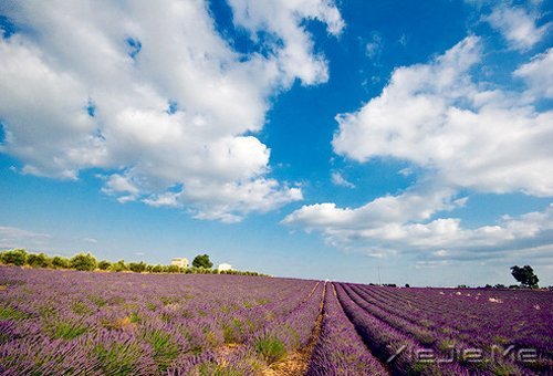 幸福是自己的,永远不要拿别人来做参照 (8)