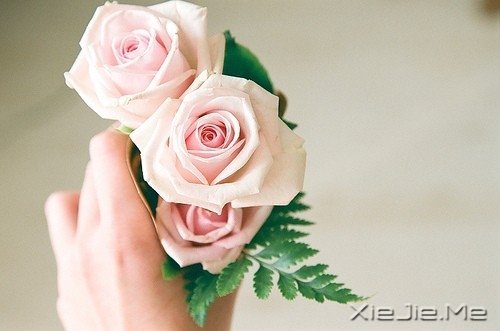 ������������������Ҹ� (10)