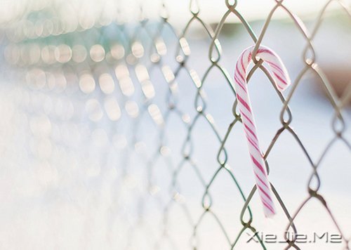 �����õ��ܻ��ڲ��������� (3)