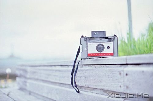 晚安心语:最好的决定,往往是不假思索的那一个 (9)