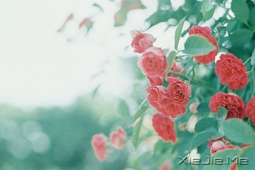 �������Ըϸˮ����ʱ��������� (2)