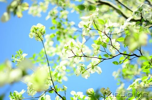 晚安心语:只要心跳还在,演出就没有落幕 (9)