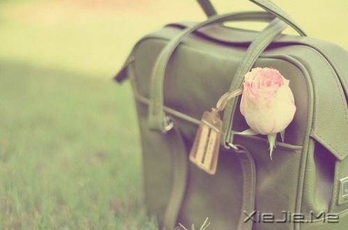 早安心语:握不住的沙,不如扬了它 (5)