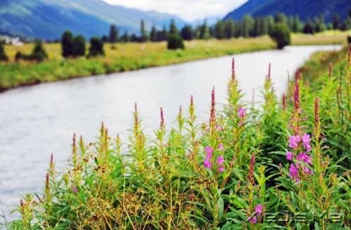 �簲���ɳ©�ǵã�����������ʱ�� (5)