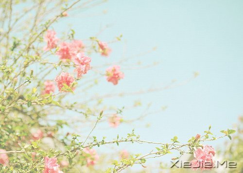 �簲���һ����£�������� (3)