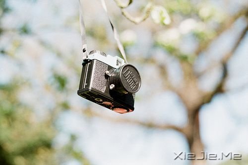 晚安心语:人最软弱的地方,是舍不得 (2)