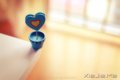 �������ֻ�����ϣ�����·�� (10)