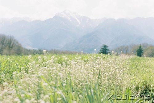 �簲����:�Լ���Ц�ݲ��������ķ羰 (4)