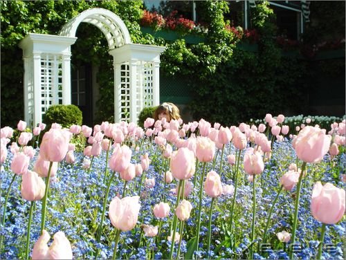 �����������������Ц����������ϧ (3)