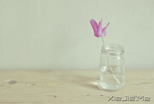 �簲����������ڱ��˵����������ʧ���Լ�����·�� (9)