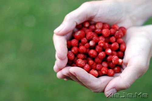 �簲�����Ҫ������ˣ�Ҳ��Ҫ��Թ�Լ� (1)