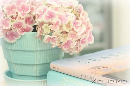 С����ͼƬ (11)