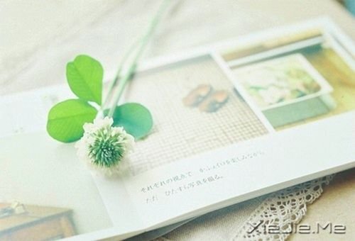 ���������������Ǿ������Ҹ�������·�� (8)