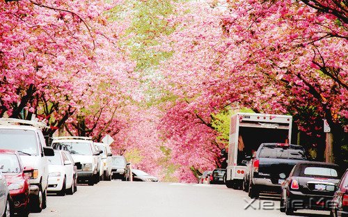 ���������ģ������ǻ� (4)