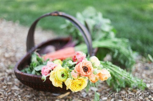 韩寒:这里会长出一朵花