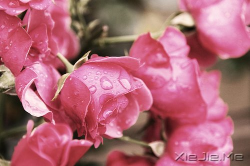 д�˽����ʣ�������һ�� (8)