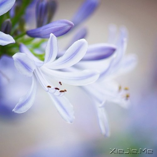 ����ľŴ��ǻ� (6)