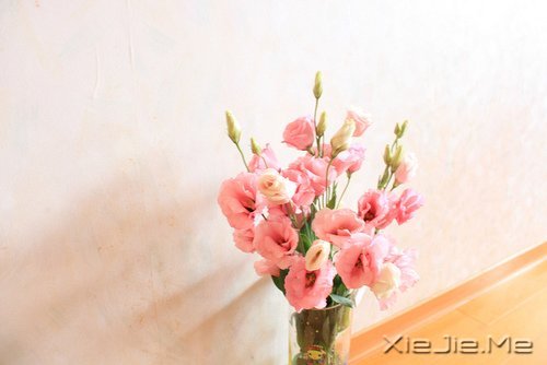 文字:世界很美好,值得你为之奋斗