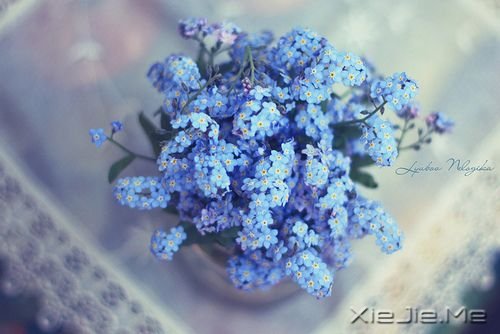 总之有些人后来真的再也没见过