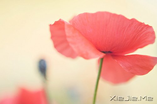 ֻҪ�������ӣ��Ͳ��Ǽ򵥵��ظ�