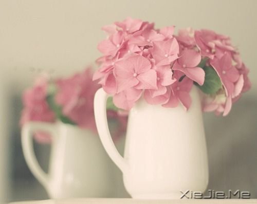 越长大越孤单 (1)