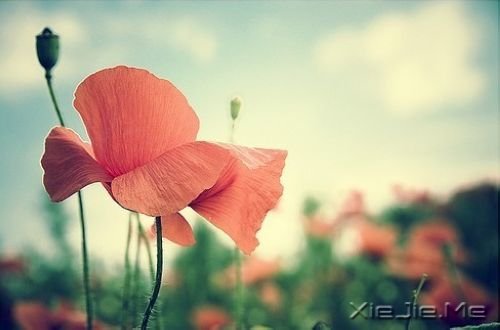 25条经典智慧语录 (2)