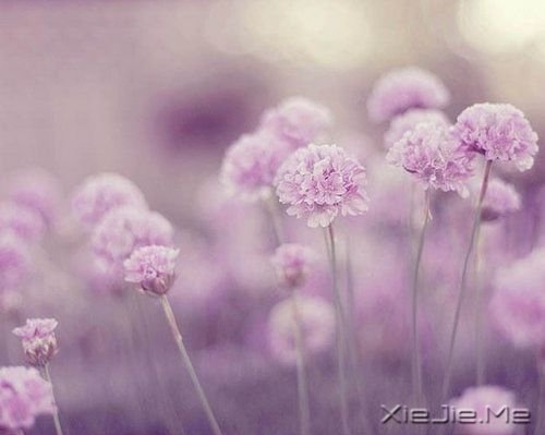 ֻҪ�Լ�Ŭ���ͺ� (3)